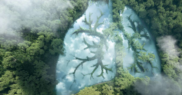 istockphoto-1185610055-612x612geobio2-600x314 Green lungs of planet Earth. 3d rendering of a clean lake in a shape of lungs in the middle of virgin forest. Concept of nature and rainforest protection, nature breathing and natural co2 reduction.